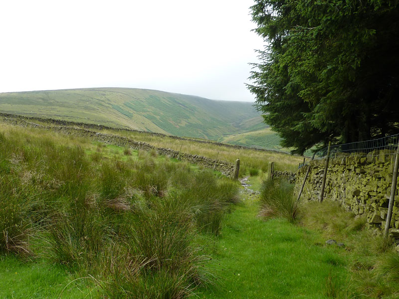 Pendle Hill